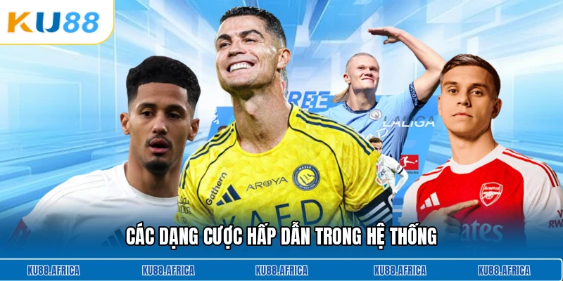 Các dạng cược hấp dẫn trong hệ thống